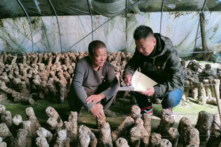 党史学习教育走进田间地头(图2) 微信图片_20211123170440.jpg