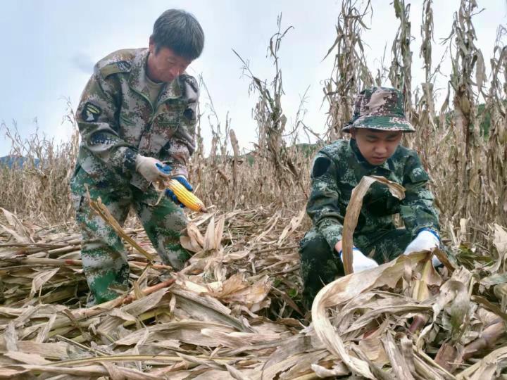 党史学习教育走进田间地头(图3) 微信图片_20211123170442.jpg